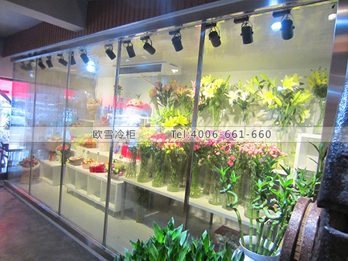 深圳寶安盈盈茗香花藝鮮花冷藏庫